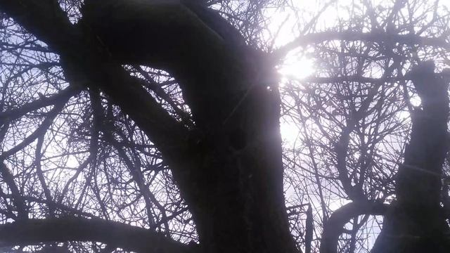 VID_20250410_120502