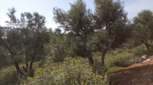 ШОКИРУЮЩИЕ ПЛЯЖИ ЕВРОПЫ