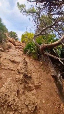 Extremely dodgy #trail #secret #cliff #outdoor #explore #adventure #hike #climbing #sea #cave