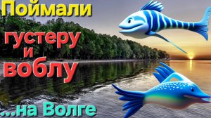 🔥Полведра ГУСТЕРЫ и ВОБЛЫ на Волге🐟 поймали!! Диалоги о рыбалке - Апрель-г. Астрахань !!!