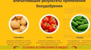 РАУНДАП ИНСТРУКЦИЯ ПО ПРИМЕНЕНИЮ ЦЕНА ОТЗЫВЫ АНАЛОГИ ❌ СКОЛЬКО СТОИТ СРЕДСТВО БИОГАРД