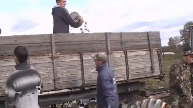 Уборка урожая смотреть онлайн