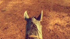 Mоя маленькая Элиста   Ринчин Дашицыренов Aquarius Records