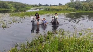 купание лошадей и детей)