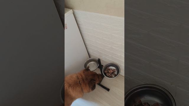 настоящая трудоголик смотреть онлайн