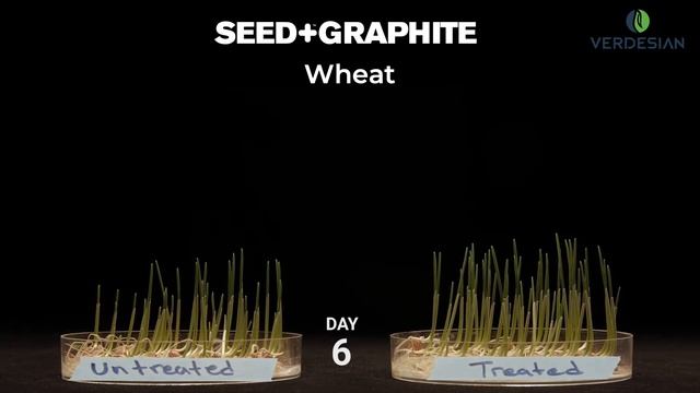 SEED+ GRAPHITE Wheat Time Lapse смотреть онлайн