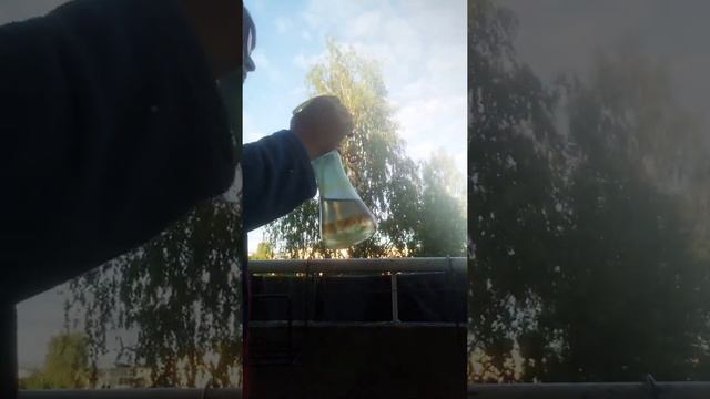 Прогулка на балконе #2 охота на пузырей смотреть онлайн