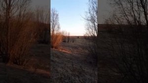 Поездка в село Лена / День 1 /  Ленский Полой /  Апрель  2023