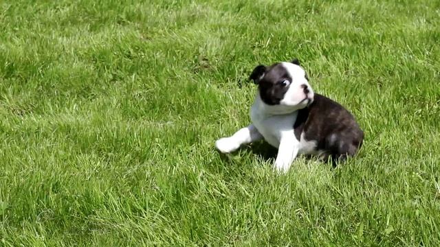 MVI 9247 смотреть онлайн