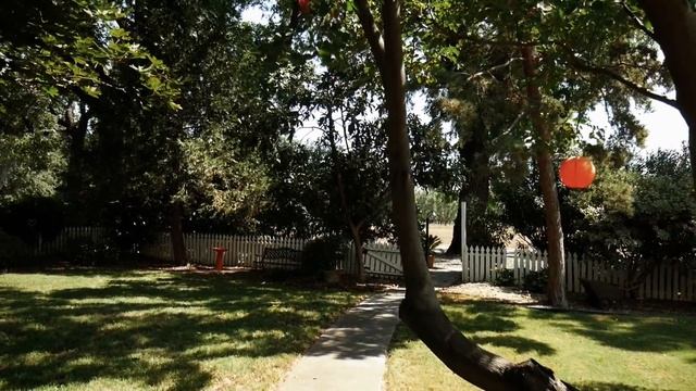 TURN YOUR TRIPOD INTO A CAMERA STABILIZER FOR FREE!! смотреть онлайн