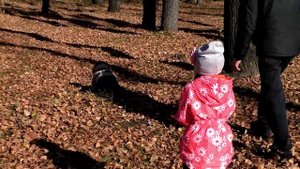 Золотая осень в парке / ВЛОГ