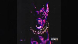 ГОЛОДНЫЙ ПЁС (remix naklz)