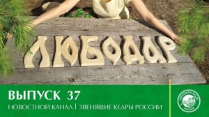 Новостной канал "Звенящие Кедры России" | Выпуск 37 от 25.09.2020