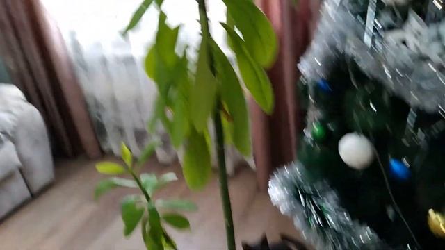 МОТИВАЦИЯ НА УБОРКУ🧹ГОТОВКУ/ПОЛИРУЮ СПАЛЬНЫЙ ГАРНИТУР/Продуктивный день✔ смотреть онлайн