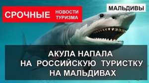 Акула напала на Российскую туристку на Мальдивах