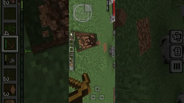 1000000675.mp4