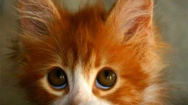 Новый сингл . Настоящий хит! Расслабляет! смотреть онлайн