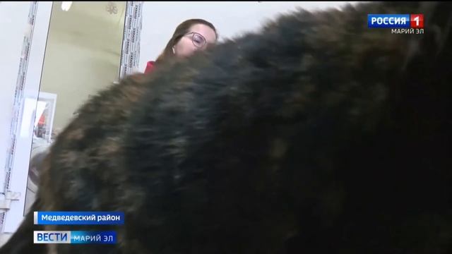 Кототерапия) смотреть онлайн