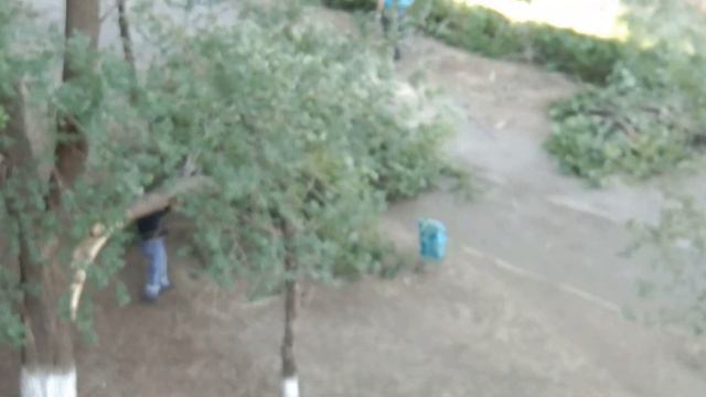 СИЛЬНЫЙ ВЕТЕР ЛОМАЛ ДЕРЕВЬЯ смотреть онлайн