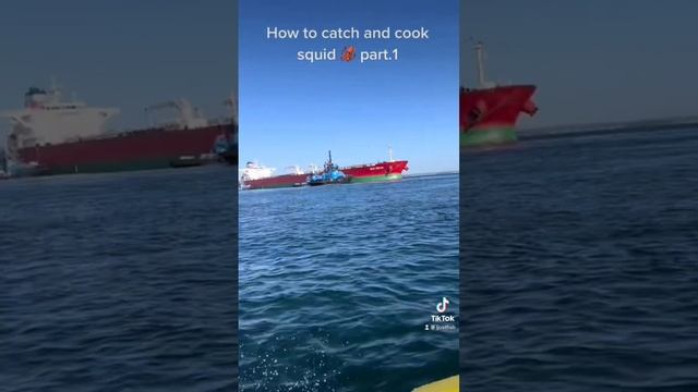 Catch and cook squid #fishing #australia #squid смотреть онлайн