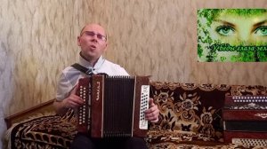 "У беды глаза зелёные".(Кавер-версия).Гармонь.