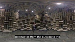 Самая тихая комната в мире — страшное и невыносимое место