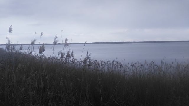 VID_20250410_164544