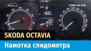 Крутилка, моталка спидометра на Шкода Октавия