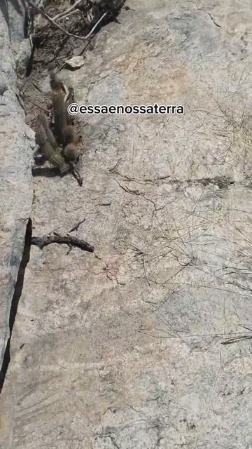 Essa é Nossa Terra - Rochas mais antigas смотреть онлайн