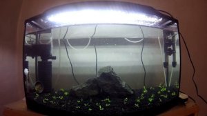 Моя подготовка к запуску аквариума 55 литров