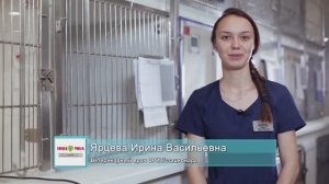 Кошка болеет. Мы выясним, чем болеет Ваша кошка! Инновационный Ветеринарный Центр МВА.