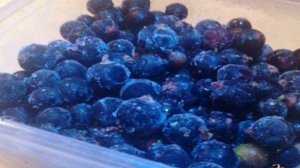 Черная смородина на зиму