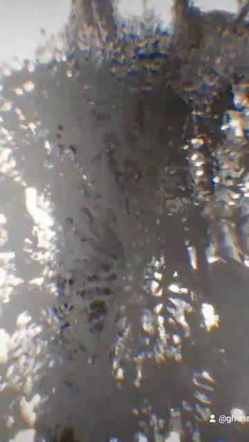 Академический рисунок и живопись в Израиле - подготовка к поступлению в ИЗО вузы смотреть онлайн