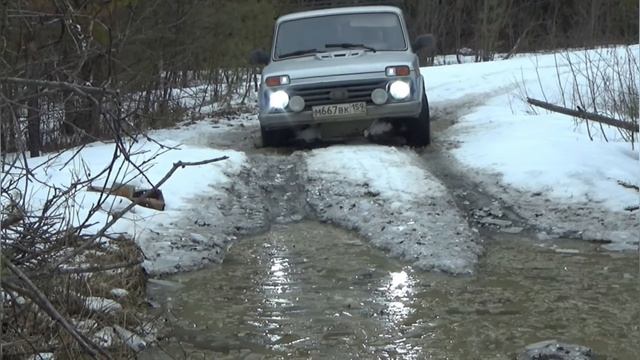 тайга нам поет