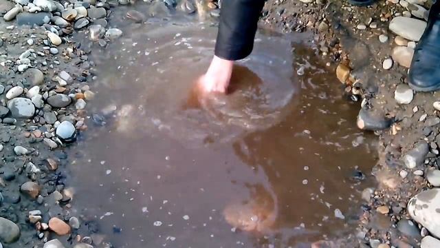 Ловим рыбу руками - Catching a small fish with hands смотреть онлайн