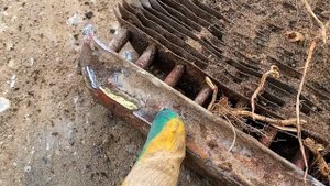 Никогда нельзя преждевременно радоваться находке. Сегодня я убедился в этом снова.