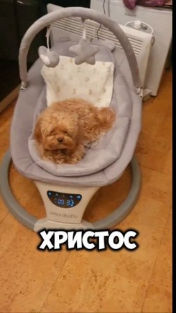 Совет от Лаки...
