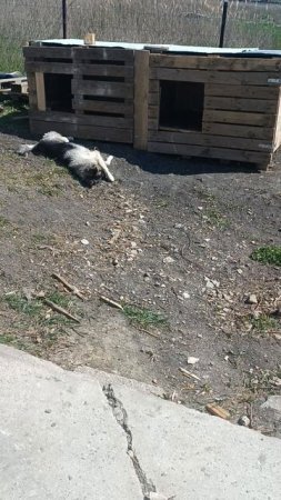 В Анапу пришло тепло
