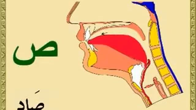 Арабский алфавит.mp4 смотреть онлайн