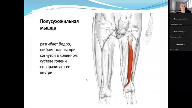 8 Мышцы руки смотреть онлайн