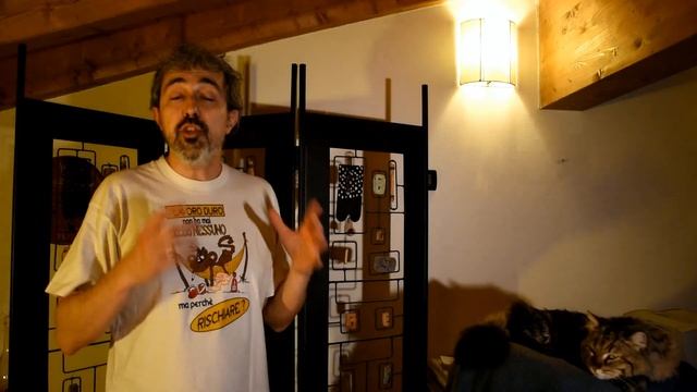 13 Misteri (svelati) su Shakespeare e 1 su Scarlett Johansson - PassatoScopio#02 - CURIUSS смотреть онлайн