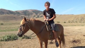 конный инструктаж для начинающих