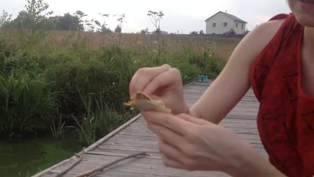 Volga_tutorial_#7_Как_чистить_воблу смотреть онлайн