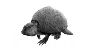 Glyptodon Sounds