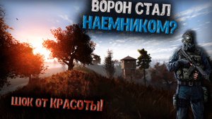 Убойное САФАРИ! Первый КОНТРАКТ? Путь Ворона #16 Прохождение GAMMA 0.9.3.1 S.T.A.L.K.E.R. Anomaly