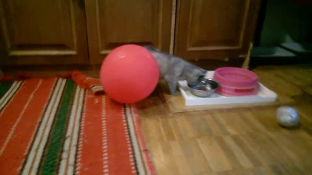 20 15 июль Мадам Брошкина и воздушный шар + смотреть онлайн