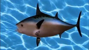 WhoBob WhatPants Theme Song (Christmas Edition) (WHAT IF?)