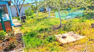 430 🏠 Живём в станице. Мужу стало хуже. Что могу то и делаю.У нас Несчастье случилось.