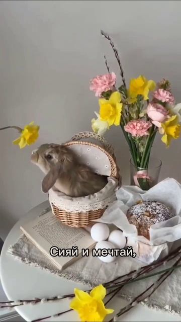 С праздником светлой Пасхи 🧁