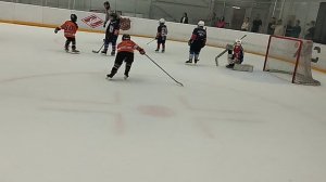 гепарды Марьино 17
